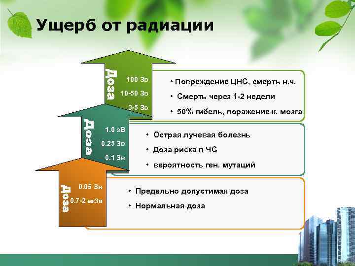 Курсовая работа: Радиация ее влияние на организм человека