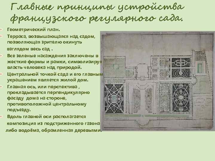  Главные принципы устройства французского регулярного сада.  Геометрический план.  Терраса, возвышающаяся над