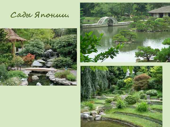 Сады Японии. 