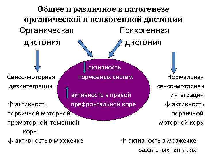   Общее и различное в патогенезе   органической и психогенной дистонии 