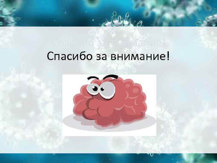 Спасибо за внимание! Спасибо за внимание!