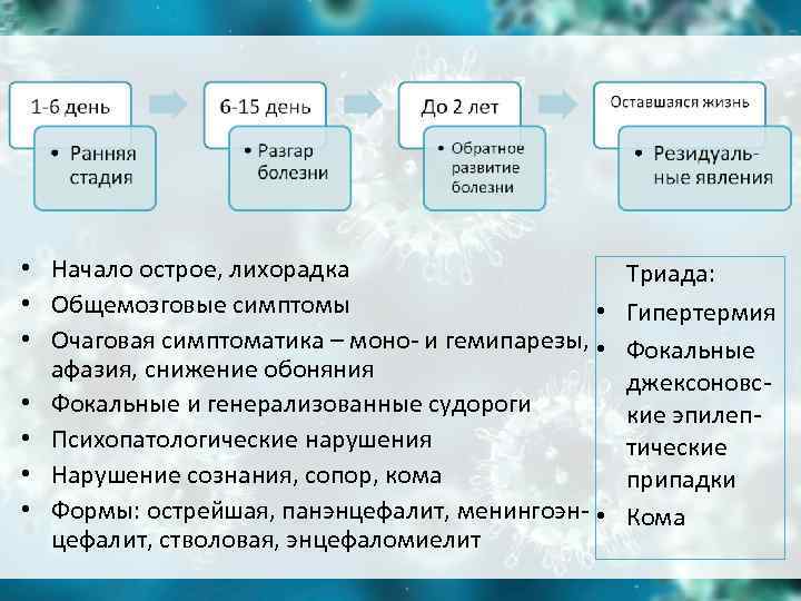 • Начало острое, лихорадка Триада: • Общемозговые симптомы • Начало острое, лихорадка Триада: • Общемозговые симптомы