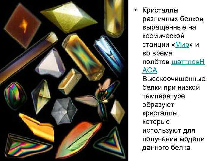 • Кристаллы различных белков, выращенные на космической станции «Мир» и • Кристаллы различных белков, выращенные на космической станции «Мир» и