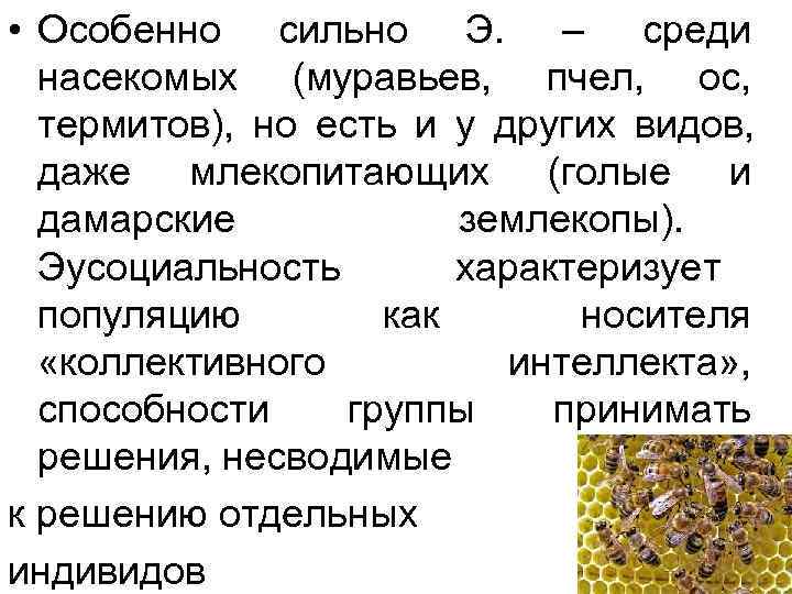 • Особенно сильно Э. – среди насекомых (муравьев, пчел, • Особенно сильно Э. – среди насекомых (муравьев, пчел,