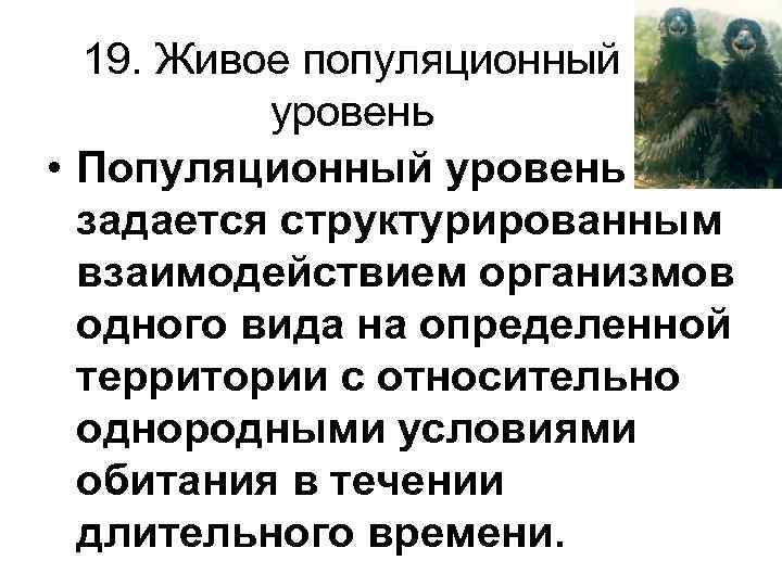 19. Живое популяционный уровень • Популяционный уровень задается структурированным взаимодействием 19. Живое популяционный уровень • Популяционный уровень задается структурированным взаимодействием