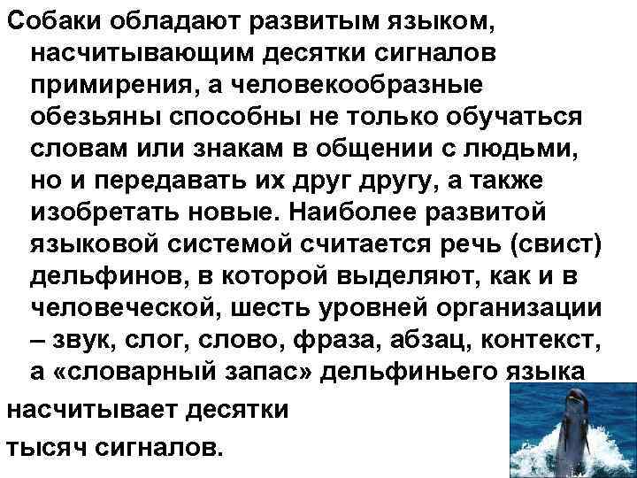 Собаки обладают развитым языком, насчитывающим десятки сигналов примирения, а человекообразные обезьяны Собаки обладают развитым языком, насчитывающим десятки сигналов примирения, а человекообразные обезьяны