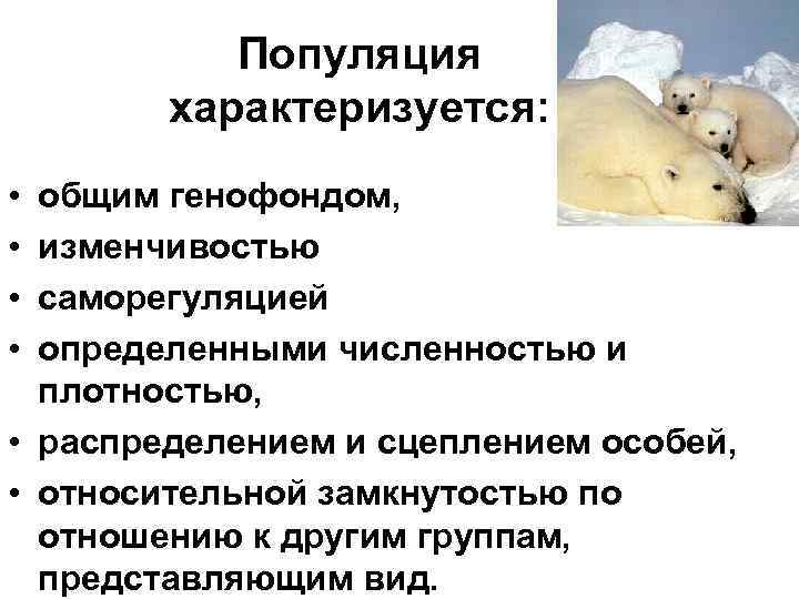 Популяция характеризуется: • общим генофондом, • изменчивостью • Популяция характеризуется: • общим генофондом, • изменчивостью •