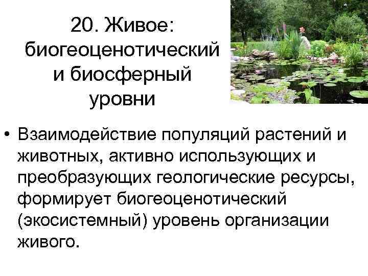 20. Живое: биогеоценотический и биосферный уровни • Взаимодействие популяций растений и 20. Живое: биогеоценотический и биосферный уровни • Взаимодействие популяций растений и