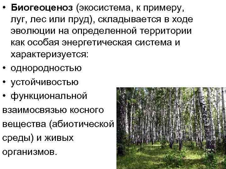 • Биогеоценоз (экосистема, к примеру, луг, лес или пруд), складывается в ходе • Биогеоценоз (экосистема, к примеру, луг, лес или пруд), складывается в ходе