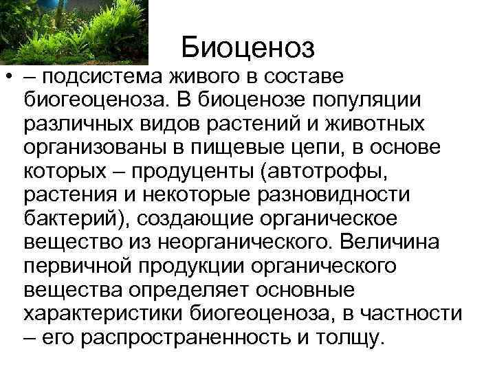 Биоценоз • – подсистема живого в составе биогеоценоза. В Биоценоз • – подсистема живого в составе биогеоценоза. В