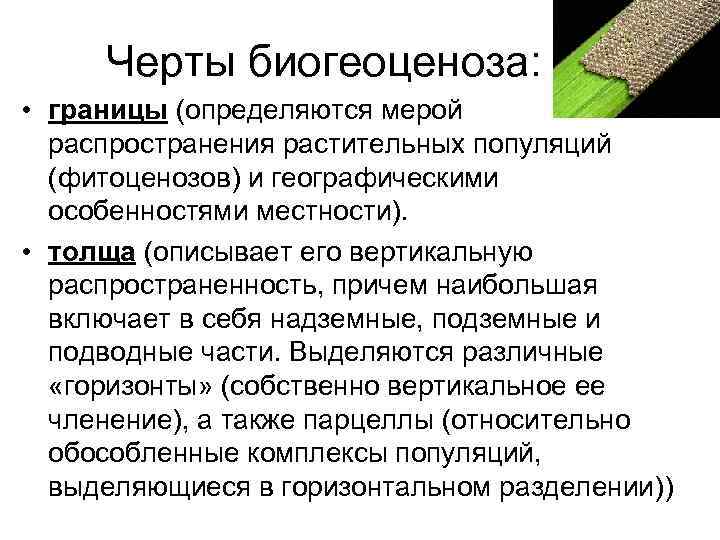 Черты биогеоценоза: • границы (определяются мерой распространения растительных популяций (фитоценозов) Черты биогеоценоза: • границы (определяются мерой распространения растительных популяций (фитоценозов)