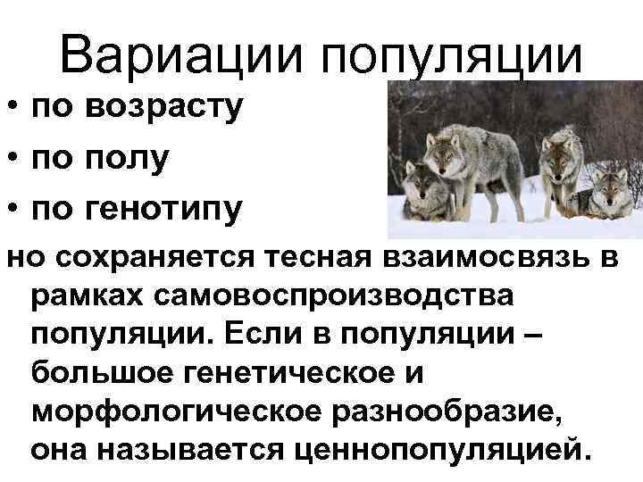 Вариации популяции • по возрасту • по полу • по генотипу но Вариации популяции • по возрасту • по полу • по генотипу но