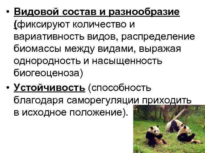 • Видовой состав и разнообразие (фиксируют количество и вариативность видов, распределение • Видовой состав и разнообразие (фиксируют количество и вариативность видов, распределение