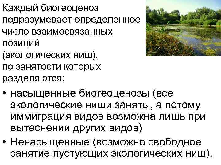 Каждый биогеоценоз подразумевает определенное число взаимосвязанных позиций (экологических ниш), по занятости которых разделяются: Каждый биогеоценоз подразумевает определенное число взаимосвязанных позиций (экологических ниш), по занятости которых разделяются: