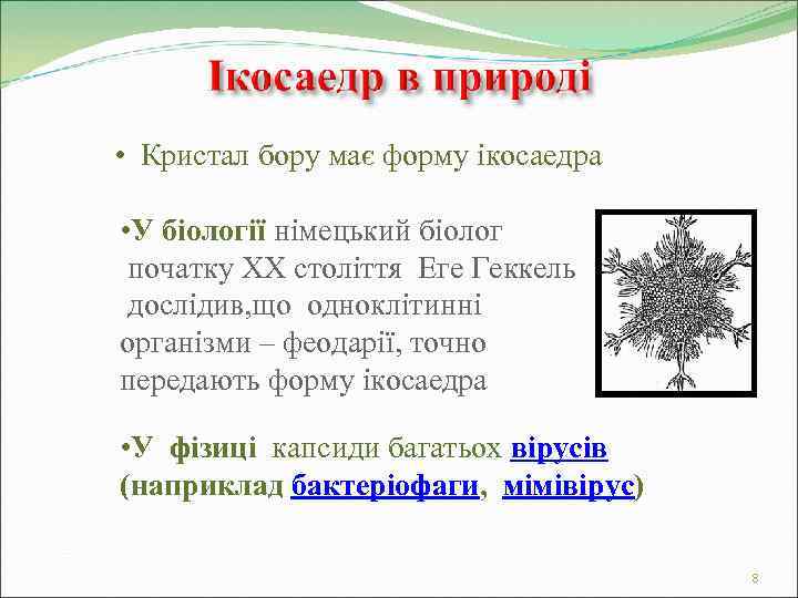  • Кристал бору має форму ікосаедра  • У біології німецький біолог початку