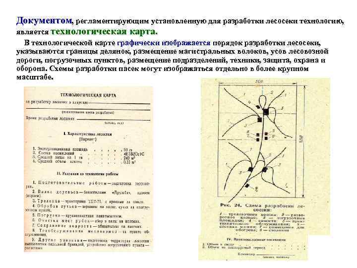 Документом, регламентирующим установленную для разработки лесосеки технологию, является технологическая карта.  В технологической карте