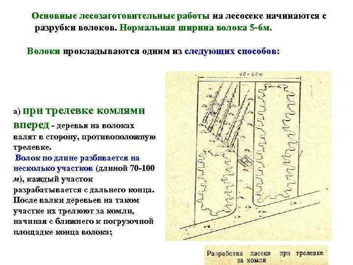   Основные лесозаготовительные работы на лесосеке начинаются с разрубки волоков. Нормальная ширина волока