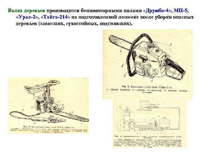 Валка деревьев производится бензомоторными пилами «Дружба 4» , МП 5, «Урал 2» , 