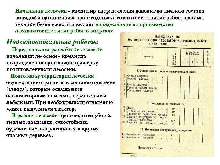   Начальник лесосеки  командир подразделения доводит до личного состава  порядок и