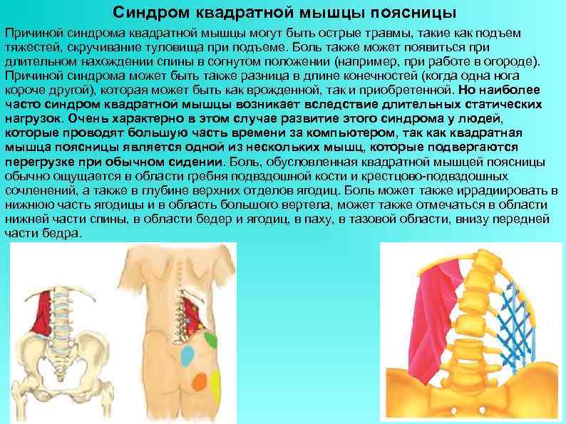 Ушиб нижней части спины и таза карта вызова