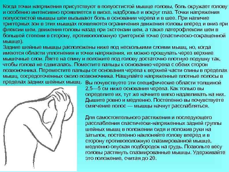 Когда точки напряжения присутствуют в полуостистой мышце головы, боль окружает голову и особенно интенсивно