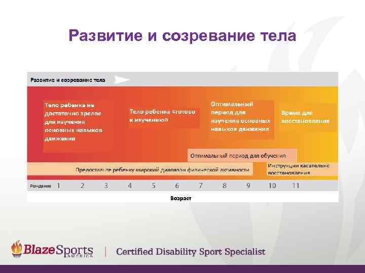 Развитие и созревание тела 