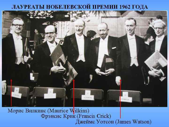 ЛАУРЕАТЫ НОБЕЛЕВСКОЙ ПРЕМИИ 1962 ГОДА Морис Вилкинс (Maurice Wilkins) Фрэнсис Крик (Francis ЛАУРЕАТЫ НОБЕЛЕВСКОЙ ПРЕМИИ 1962 ГОДА Морис Вилкинс (Maurice Wilkins) Фрэнсис Крик (Francis