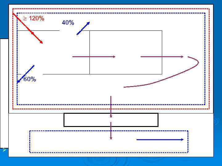  120%     40%    Верхняя зона  