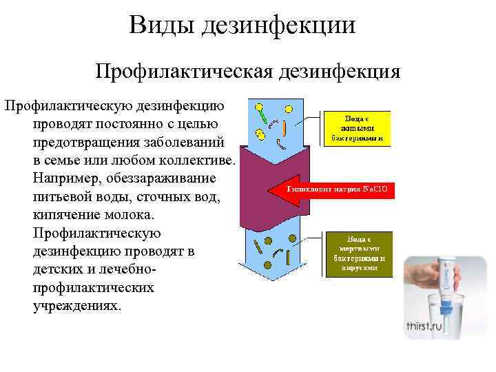    Виды дезинфекции   Профилактическая дезинфекция Профилактическую дезинфекцию  проводят постоянно
