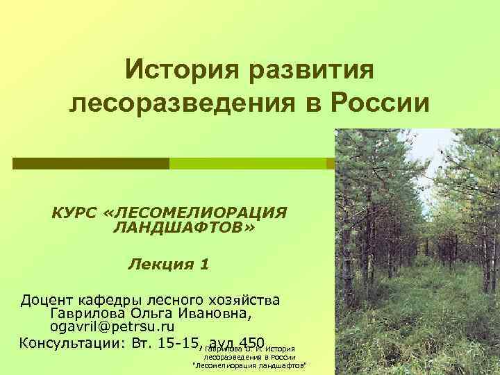 Комитет по природным ресурсам ленинградской области проекты лесоразведения