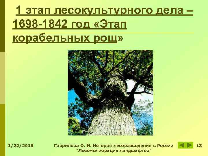 1 этап лесокультурного дела – 1698 -1842 год «Этап корабельных рощ» 1/22/2018 1 этап лесокультурного дела – 1698 -1842 год «Этап корабельных рощ» 1/22/2018