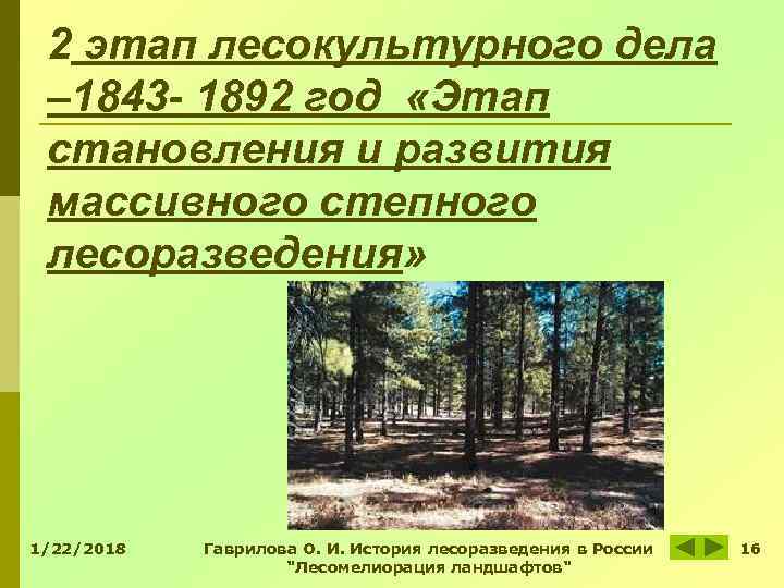 Комитет по природным ресурсам ленинградской области проекты лесоразведения