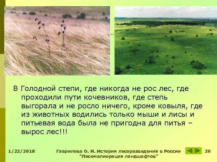 Почему ничего не растет. Голодная степь Узбекистан. Освоение голодной степи. Освоение голодной степи в Узбекистане. Голодная степь в Казахстане.