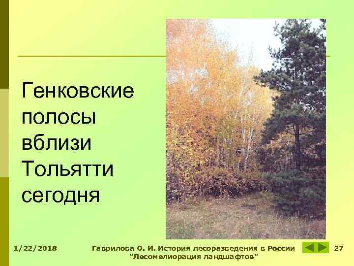 Генковские полосы вблизи Тольятти сегодня 1/22/2018 Гаврилова О. И. История лесоразведения в Генковские полосы вблизи Тольятти сегодня 1/22/2018 Гаврилова О. И. История лесоразведения в