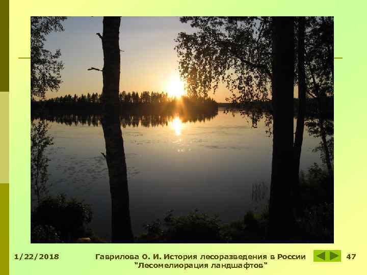 1/22/2018 Гаврилова О. И. История лесоразведения в России 47 1/22/2018 Гаврилова О. И. История лесоразведения в России 47