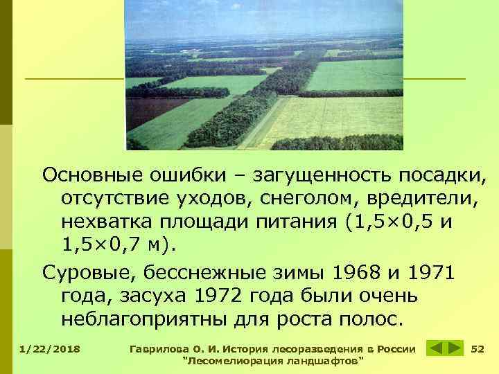 Основные ошибки – загущенность посадки, отсутствие уходов, снеголом, вредители, нехватка площади питания Основные ошибки – загущенность посадки, отсутствие уходов, снеголом, вредители, нехватка площади питания