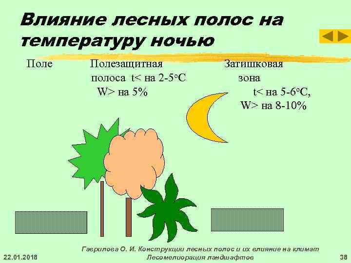 Влияние леса. Влияние леса на температуру. Влияние лесных полос на микроклимат. Лес влияет на температуру воздуха. Почему лес влияет на температуру воздуха.