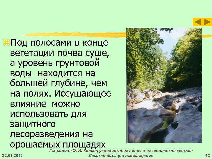 z. Под полосами в конце вегетации почва суше,  а уровень грунтовой воды находится
