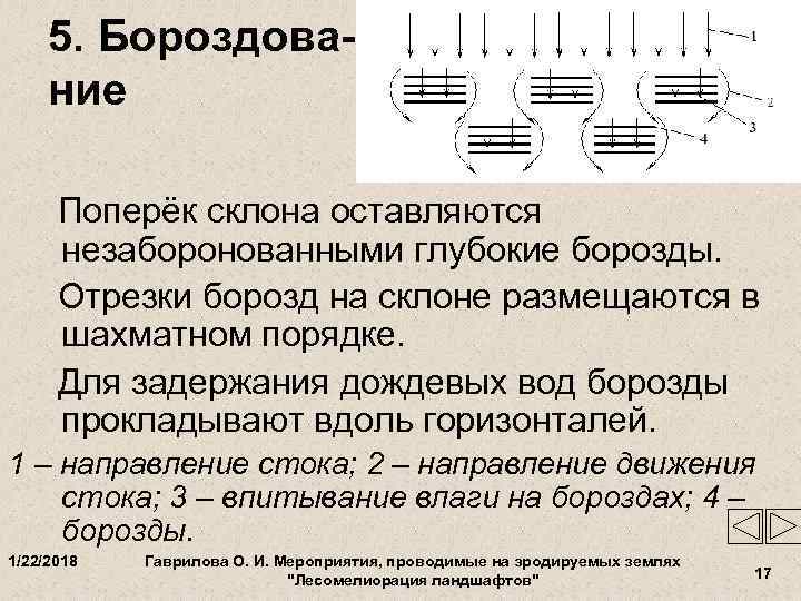  5. Бороздова- ние  Поперёк склона оставляются  незаборонованными глубокие борозды.  Отрезки