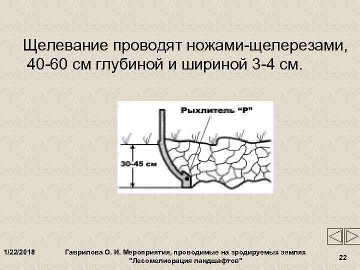  Щелевание проводят ножами-щелерезами,  40 -60 см глубиной и шириной 3 -4 см.