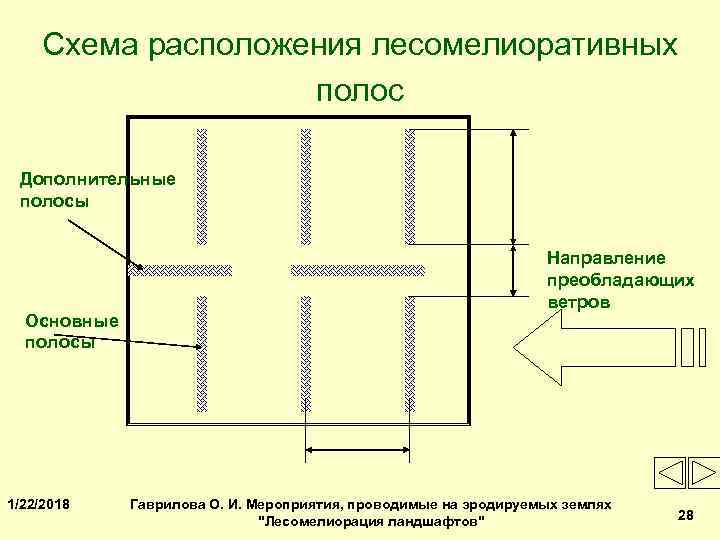  Схема расположения лесомелиоративных     полос  Дополнительные полосы  
