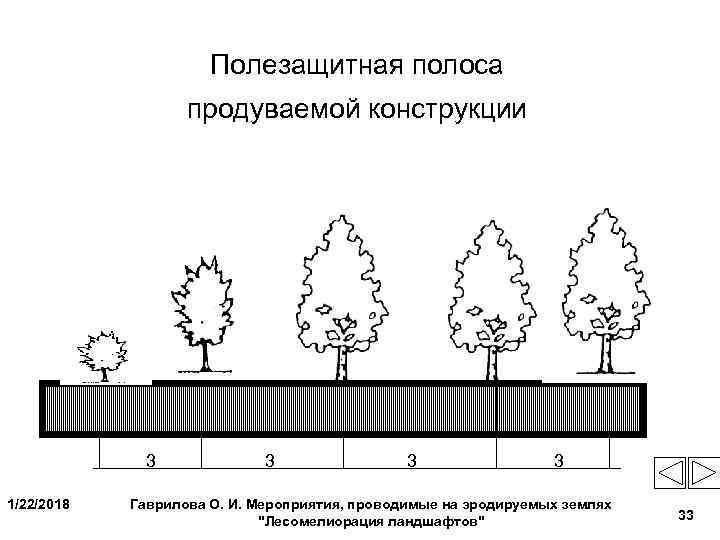     Полезащитная полоса    продуваемой конструкции  