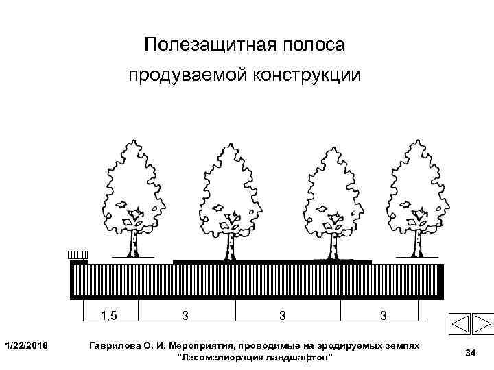      Полезащитная полоса     продуваемой конструкции 