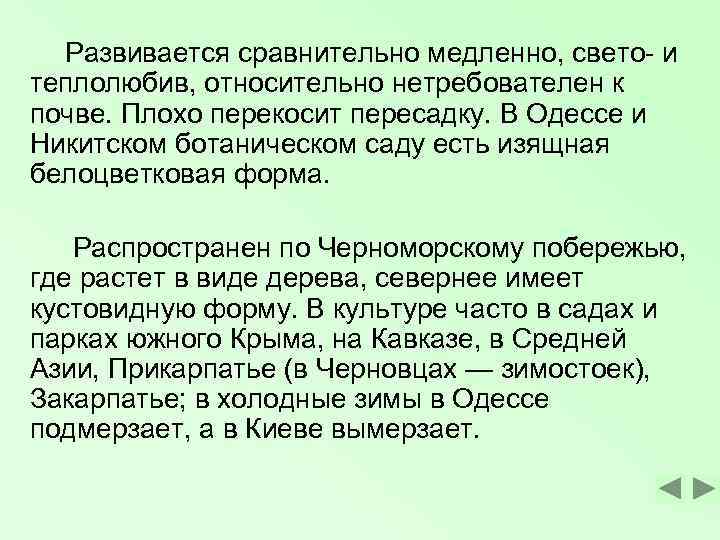  Развивается сравнительно медленно, свето- и теплолюбив, относительно нетребователен к почве. Плохо перекосит пересадку.