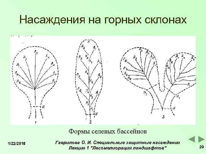  Насаждения на горных склонах     Формы селевых бассейнов 1/22/2018 