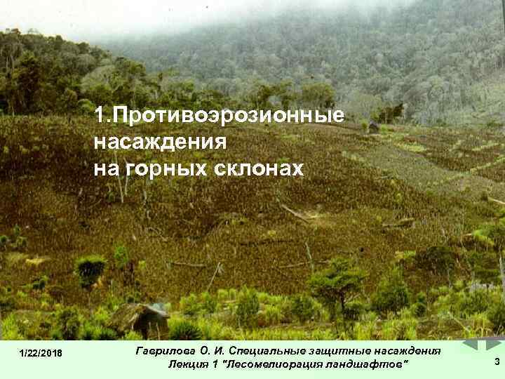   1. Противоэрозионные   насаждения   на горных склонах 1/22/2018 Гаврилова