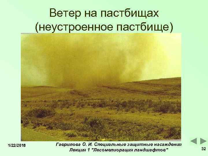     Ветер на пастбищах   (неустроенное пастбище) 1/22/2018 Гаврилова О.