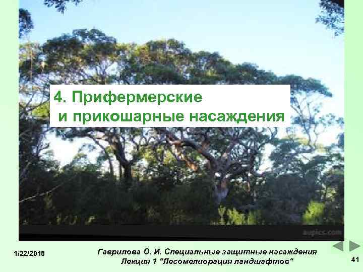   4. Прифермерские   и прикошарные насаждения 1/22/2018  Гаврилова О. И.