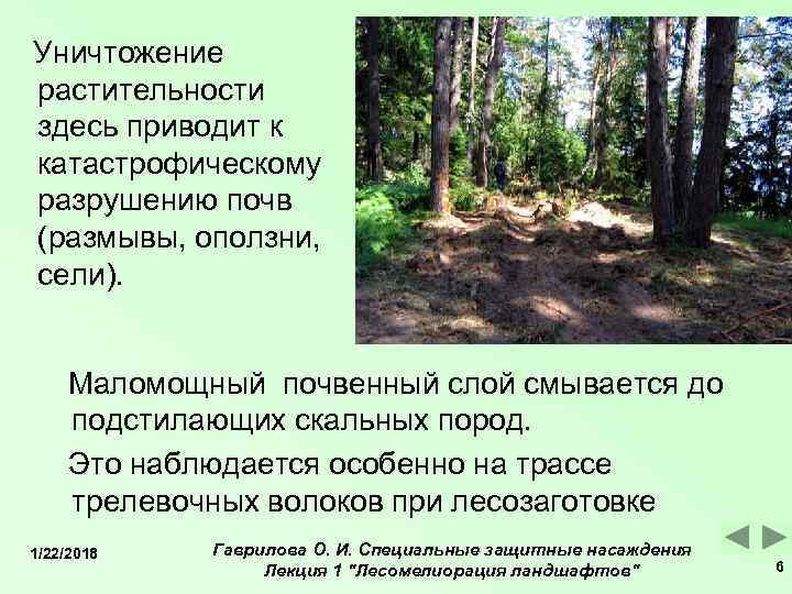 Уничтожение растительности здесь приводит к катастрофическому разрушению почв (размывы, оползни, сели).   Маломощный