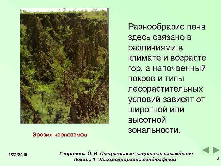     Разнообразие почв     здесь связано в 